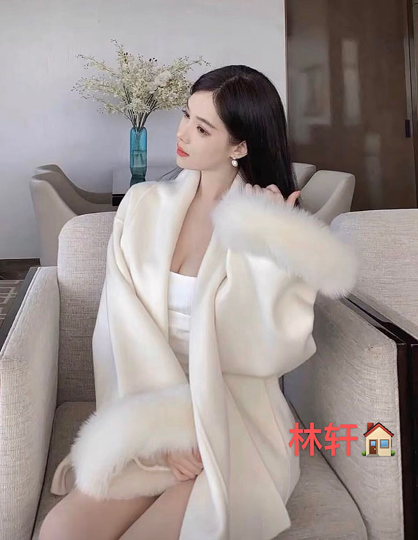 波士顿伴游预约